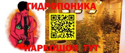 спиды Краснодар