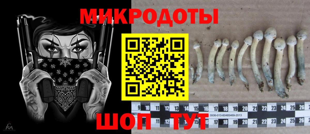 Галлюциногенные грибы GOLDEN TEACHER  Вход с VPN  Псилоцибиновые грибы ЛСД  Кимовск 